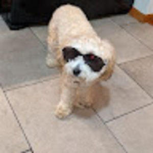 Meet your Posher, Jason